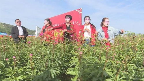 曲子戲演出為鄉村旅游文化節添色彩